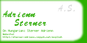 adrienn sterner business card